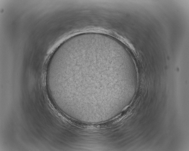 X0000081601504200702051316