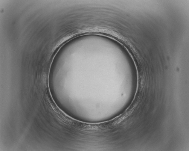 X0000081601505200702051316