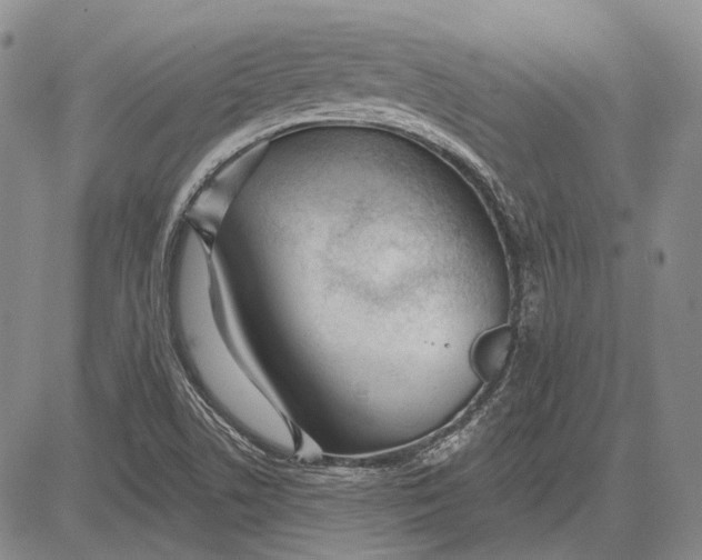 X0000081601506200702051316