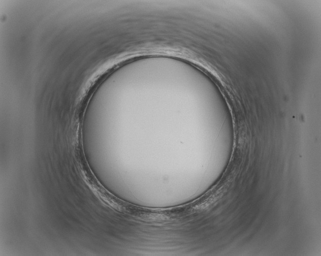 X0000081601507200702051316