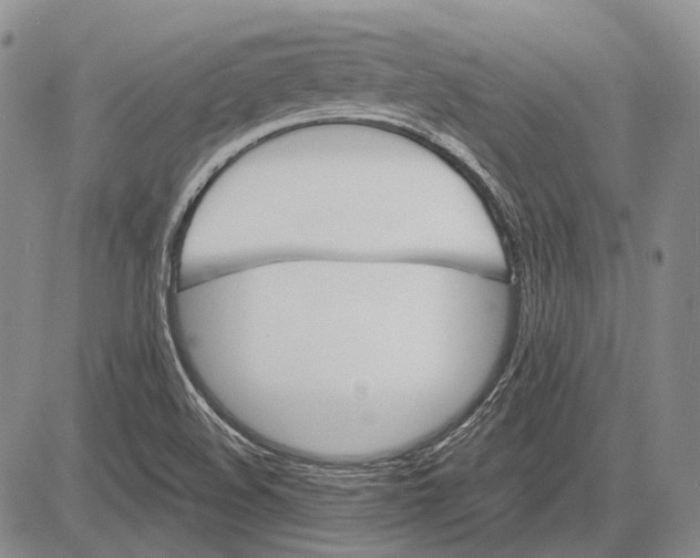 X0000081601508200702051316