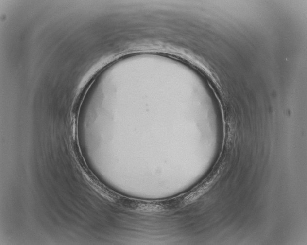 X0000081601509200702051316