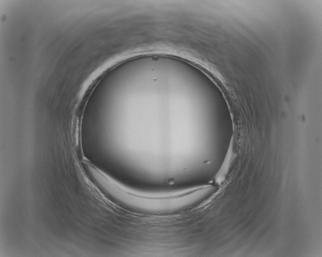 X0000081601510200702051316