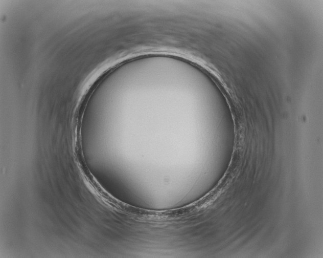 X0000081601511200702051316