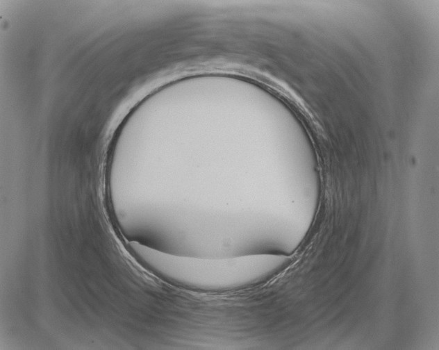 X0000081601512200702051316