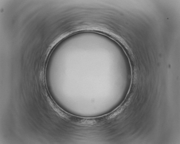 X0000081601513200702051316