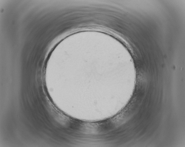 X0000081601514200702051316