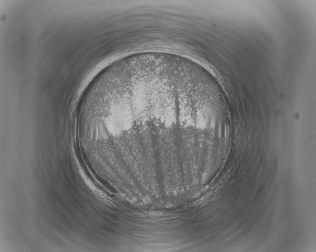 X0000081601515200702051316