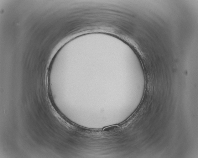 X0000081601516200702051316