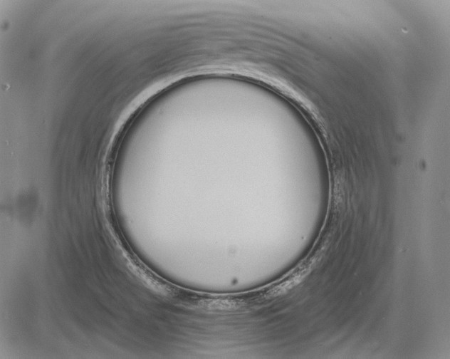 X0000081601517200702051316