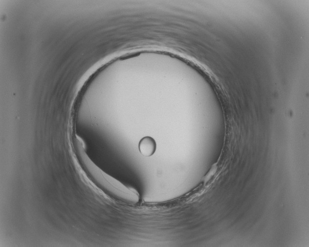 X0000081601518200702051316