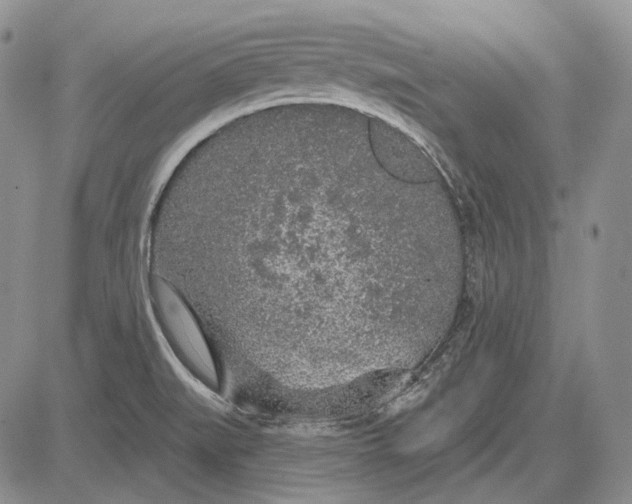 X0000081601519200702051316