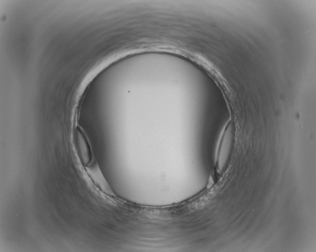 X0000081601520200702051316