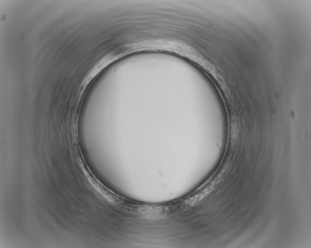 X0000081601521200702051316