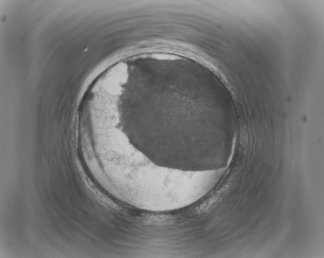 X0000081601522200702051316