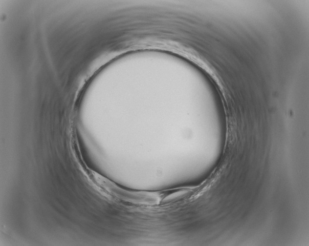 X0000081601525200702051316