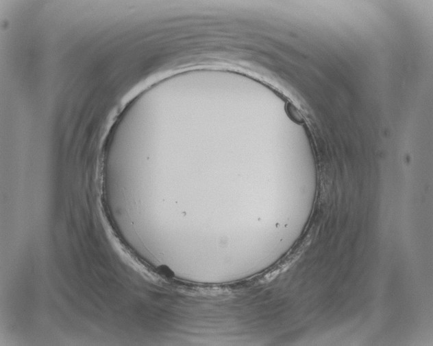 X0000081601526200702051316