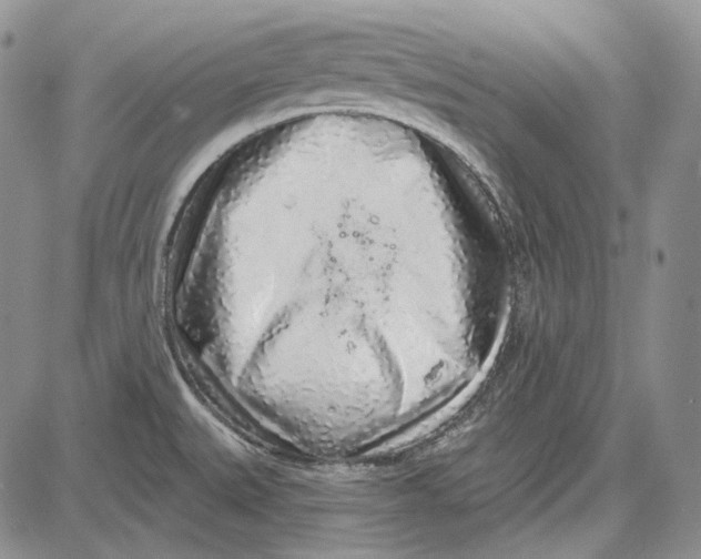 X0000081601527200702051316