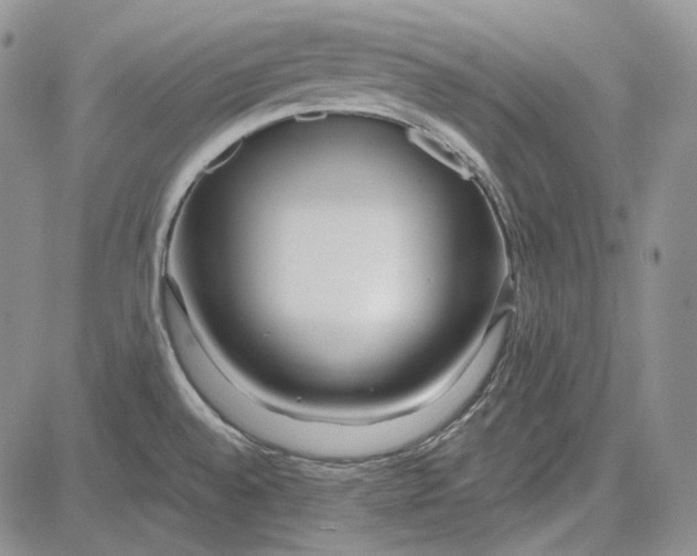 X0000081601528200702051316