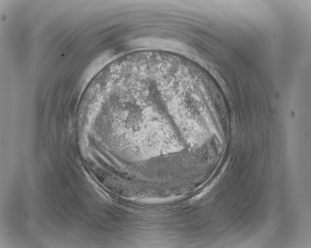 X0000081601529200702051316