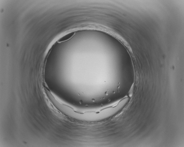 X0000081601530200702051316