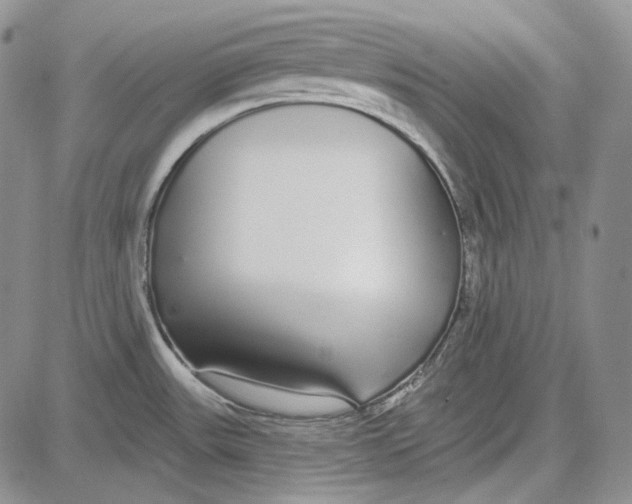 X0000081601531200702051316