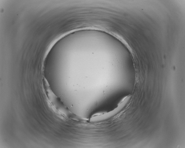 X0000081601532200702051316