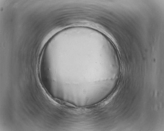 X0000081601533200702051316