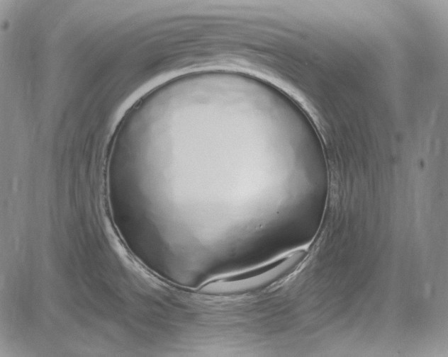 X0000081601534200702051316