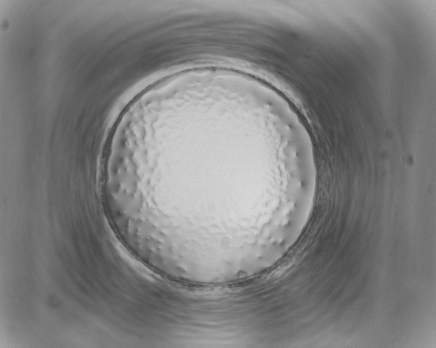 X0000081601535200702051316