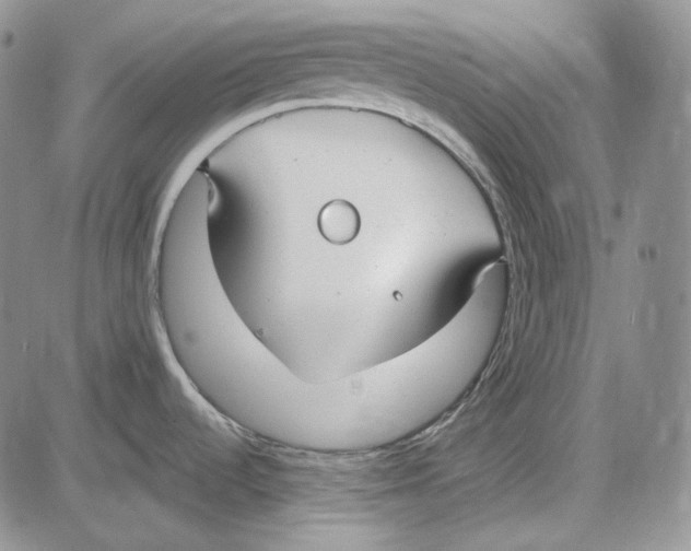 X0000081601536200702051317