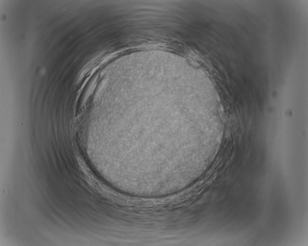 X0000081600002200702121601