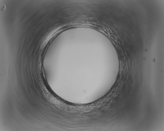 X0000081600005200702121601