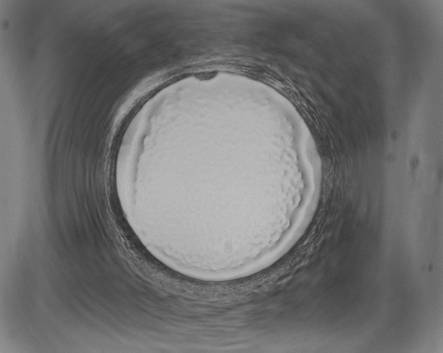 X0000081600006200702121601