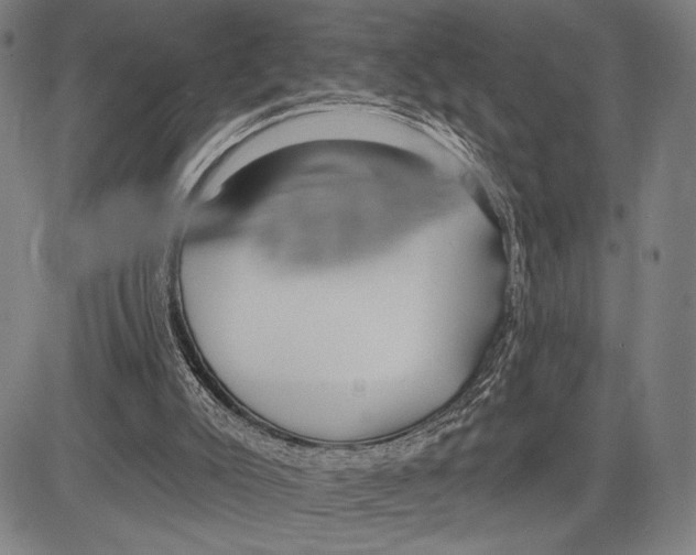 X0000081600007200702121601