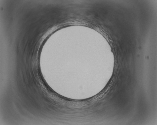 X0000081600008200702121601