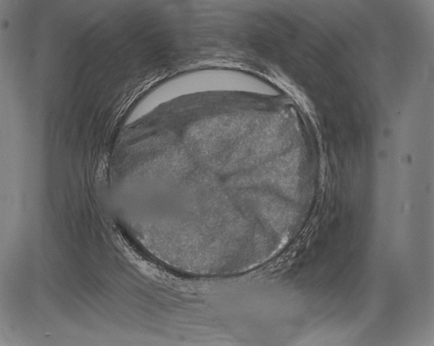 X0000081600009200702121601