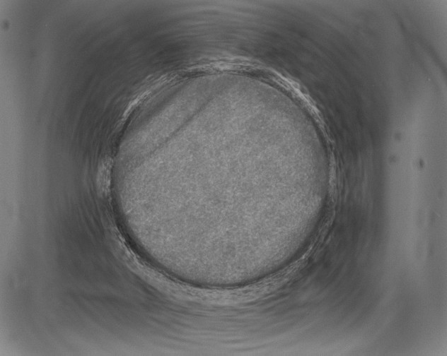 X0000081600010200702121601