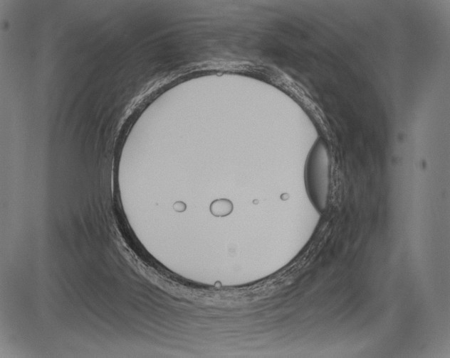 X0000081600011200702121601