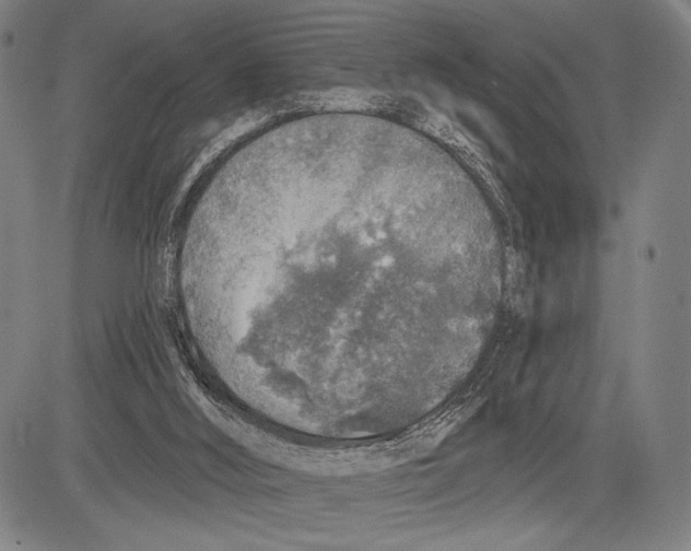 X0000081600012200702121601