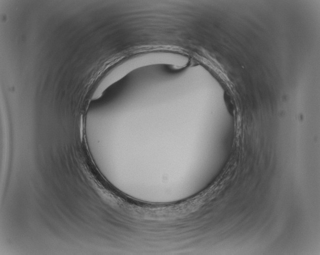 X0000081600013200702121601