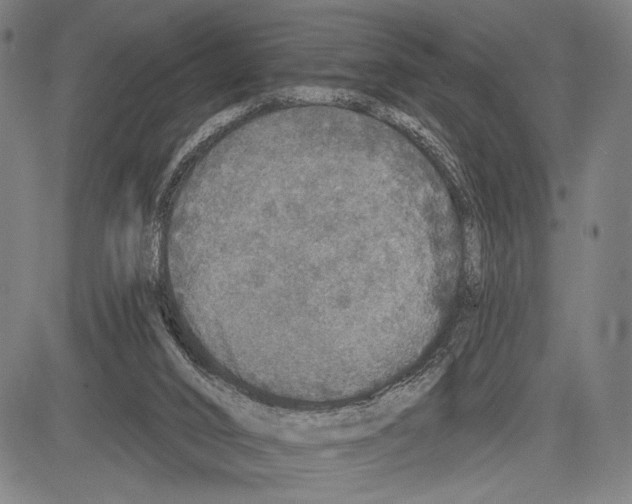 X0000081600016200702121601