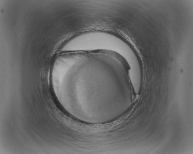 X0000081600019200702121601