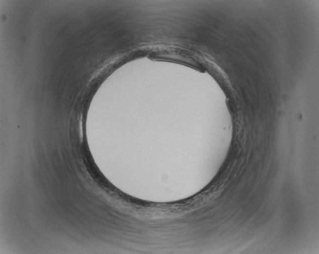 X0000081600020200702121601