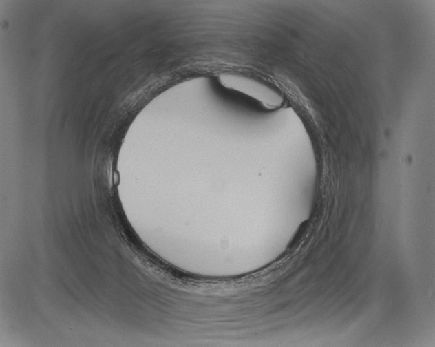 X0000081600021200702121601