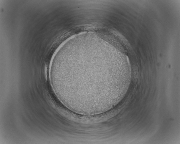 X0000081600022200702121601