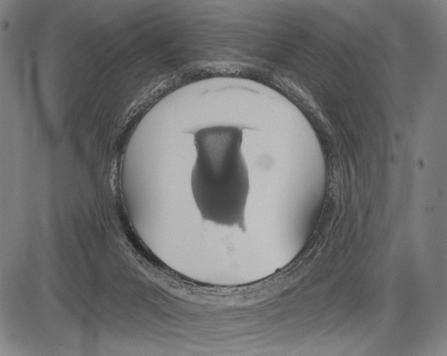 X0000081600023200702121600