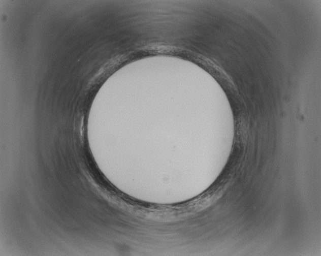 X0000081600024200702121600