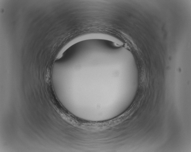 X0000081600025200702121600