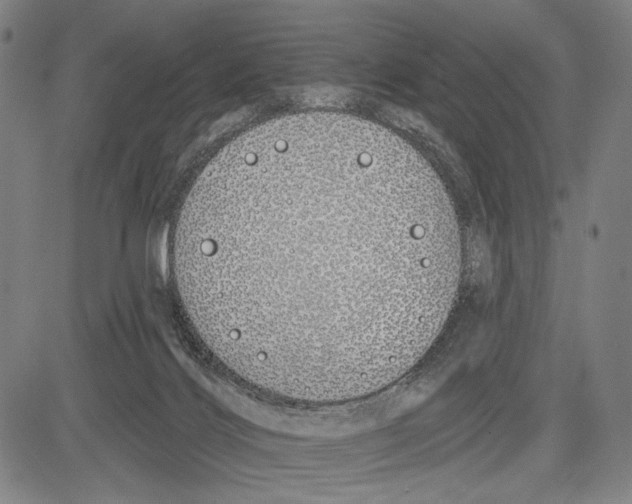 X0000081600028200702121600